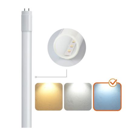 LED Luminofoortoru T8 G13/9W/230V 6500K 60 cm
