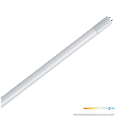 LED Luminofoortoru T8 G13/9W/230V 6500K 60 cm