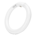 LED Luminofoortoru T9 G24q-1/22W/230V 6500K - Aigostar