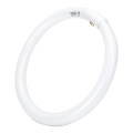 LED Luminofoortoru T9 G24q-1/32W/230V 6500K - Aigostar