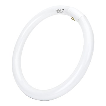 LED Luminofoortoru T9 G24q-1/32W/230V 6500K - Aigostar