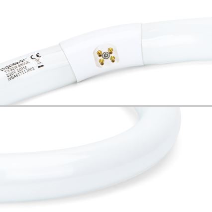 LED Luminofoortoru T9 G24q-1/32W/230V 6500K - Aigostar