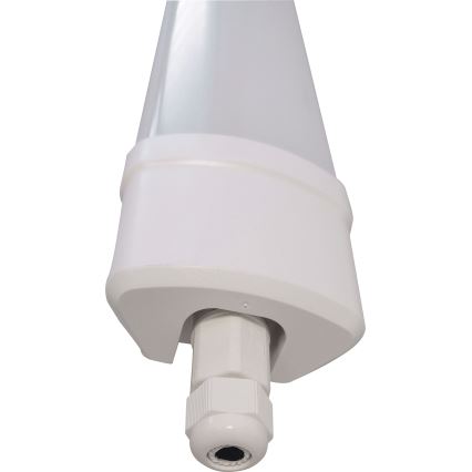LED Luminofoorvalgusti DAISY LED/40W/230V 4000K IP65