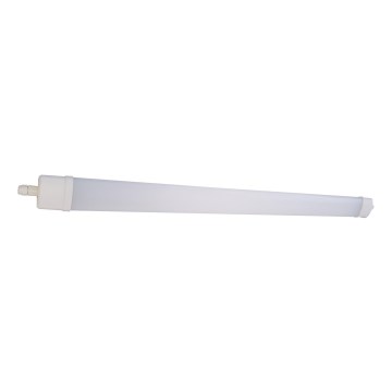 LED Luminofoorvalgusti DAISY LED/80W/230V 4000K IP65