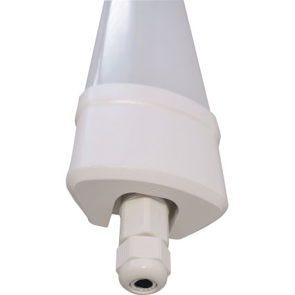 LED Luminofoorvalgusti DAISY LED/80W/230V 4000K IP65
