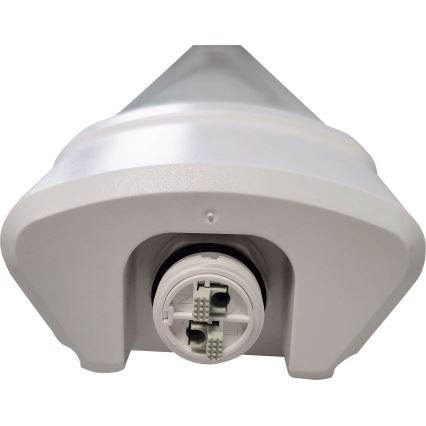 LED Luminofoorvalgusti DAISY LED/80W/230V 4000K IP65