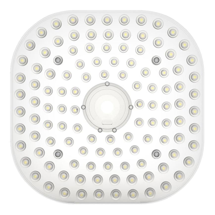 LED moodul MODULE LED/30W/230V