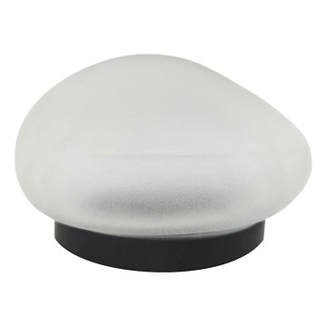 LED päikeselamp 2xLED/1,2V 300 mAh IP44 must/valge