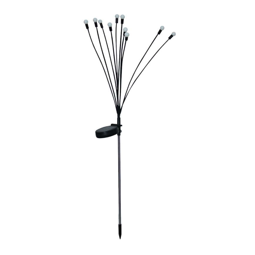 LED Päikesepaneeliga dekoratiivne valgusti 10xLED/1,2V 3000K 73 cm IP44