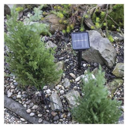 LED päikesepaneeliga dekoratsioon 50xLED/3W/1,2V 600 mAh IP44