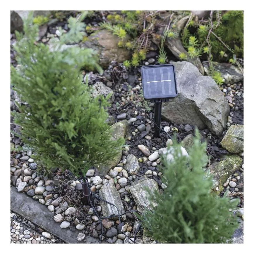 LED päikesepaneeliga dekoratsioon 50xLED/3W/1,2V 600 mAh IP44