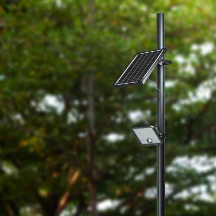LED Päikesepaneeliga prožektor koos anduriga LED/30W/6,4V 4000K 6000 mAh + kaugjuhtimispult
