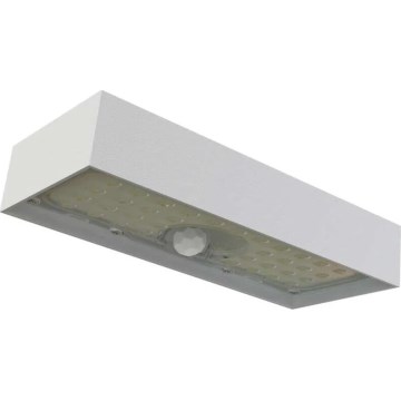 LED Päikesepaneeliga prožektor koos liikumisanduriga LED/3,7V 3000mAh 4000K IP65 valge