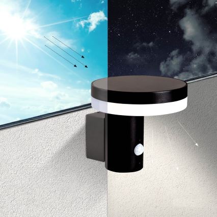 LED Päikesepaneeliga seinavalgusti koos anduriga SOLARIS3 LED/5,5W/3,7V 4000K IP44 2600 mAh
