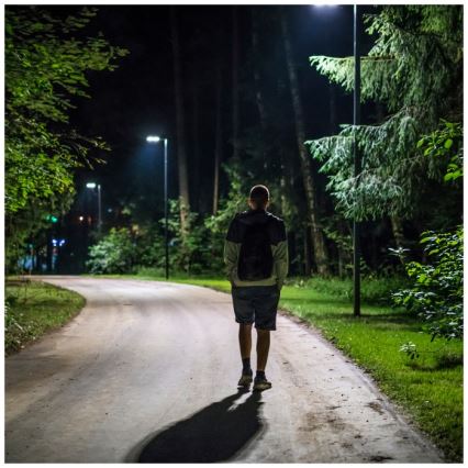 LED Hämardatav päikesepaneeliga tänavalamp koos liikumis- ja hämardusanduriga URBI LED/8W/3,2V 6500K IP54 + kaugjuhtimispult