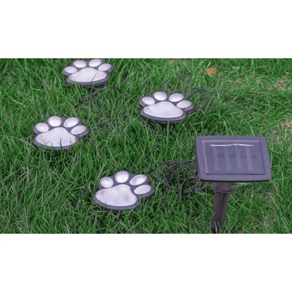 LED Päikesepaneeliga valgusti LED/0,14W/2V 600 mAh IP44 tlapky