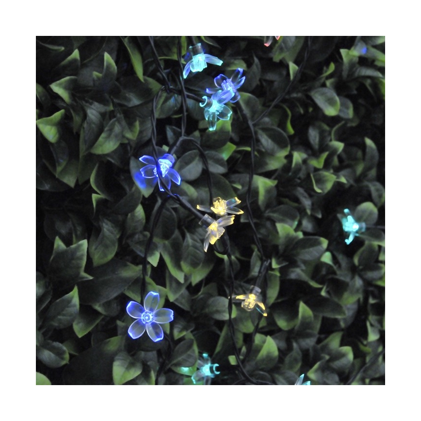 LED Päikesepatareiga valguskett FLOWER 50xLED/1,2V IP44