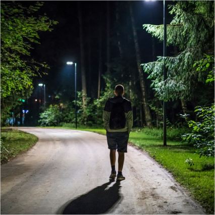 Hämardatav LED-päikesepaneeliga tänavavalgusti anduriga URBI LED/11W/3,2V 6500K 15000 mAh IP54 + kaugjuhtimispult