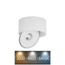 LED Paindlik Kohtvalgusti LED/20W/230V 3000/4000/6400K CRI 90 valge