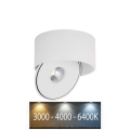 LED Paindlik Kohtvalgusti LED/28W/230V 3000/4000/6400K CRI 90 valge