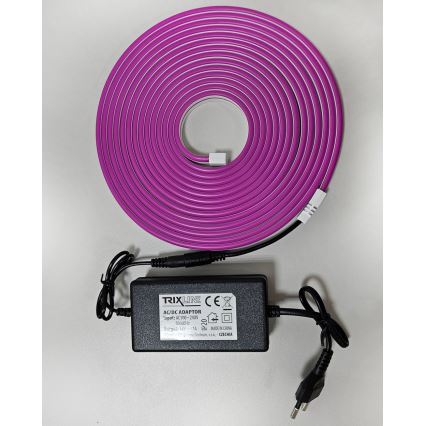 LED Paindlik riba NEON LED/10W/230V 5 m IP65 lilla