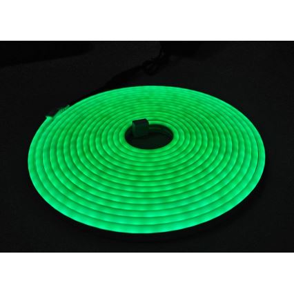 LED Paindlik riba NEON LED/10W/230V 5 m IP65 roheline
