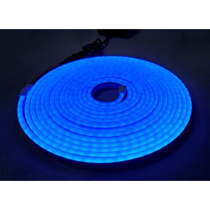 LED Paindlik riba NEON LED/10W/230V 5 m IP65 sinine
