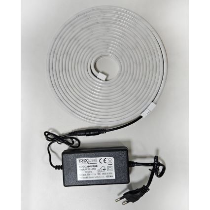 LED Paindlik riba NEON LED/10W/230V 5 m IP65 valge