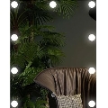 LED Peegel koos valgustusega 9xLED/1W/230V 3000/4000/6000K 50x40 cm IP44