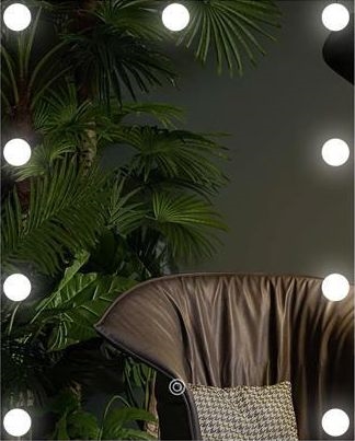 LED Peegel koos valgustusega 9xLED/1W/230V 3000/4000/6000K 50x40 cm IP44