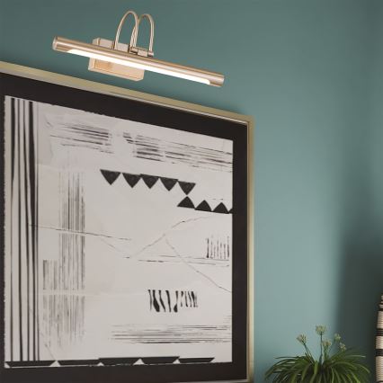LED Pildivalgusti LED/9W/230V 3000K 42 cm matt kroom
