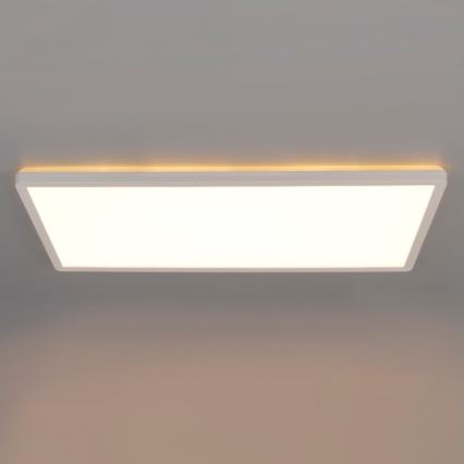 LED Pinnale kinnitatav valguspaneel NIVERA LED/32W/230V IP54 3000/4000/6000K 29,5x59,5 cm valge