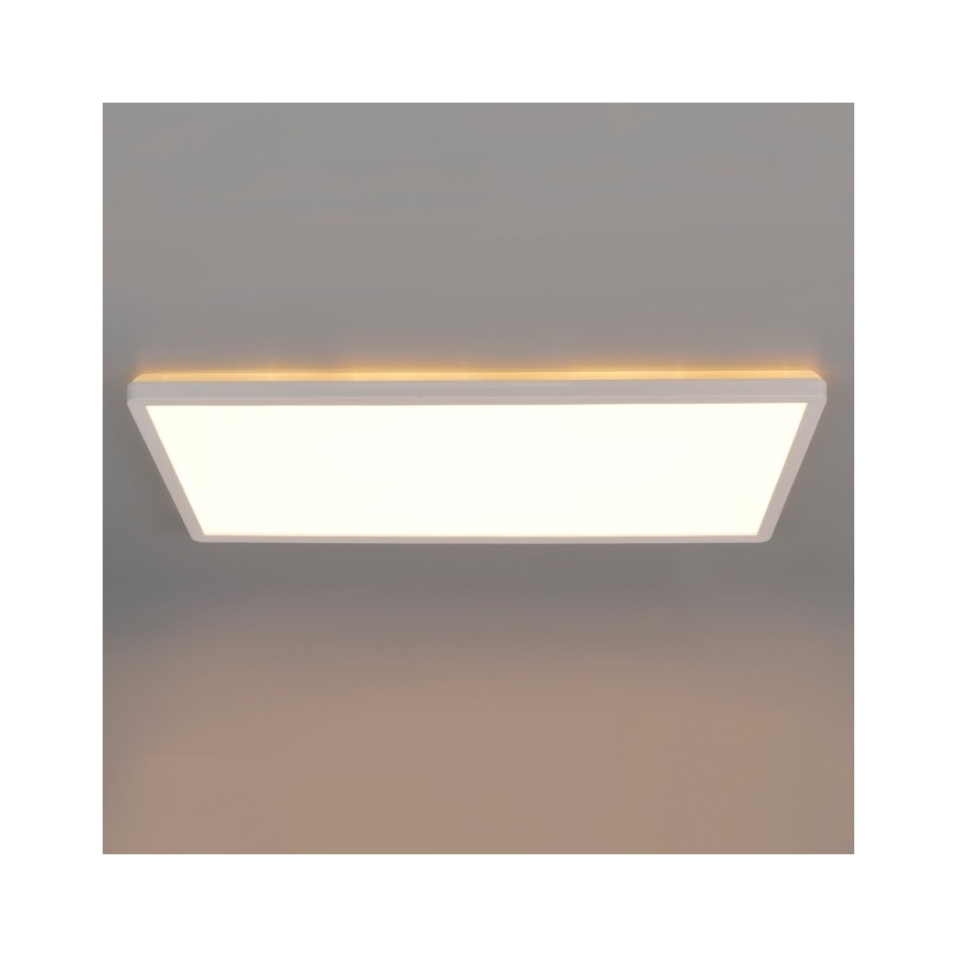LED Pinnale kinnitatav valguspaneel NIVERA LED/32W/230V IP54 3000/4000/6000K 29,5x59,5 cm valge