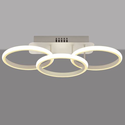 LED Pinnale paigaldatav lühter BARI LED/30W/230V valge