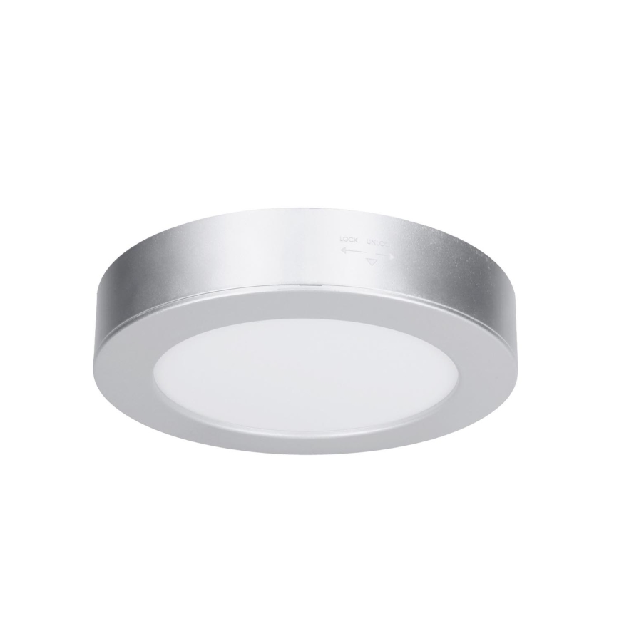 LED pinnapealne/süvistatav paneel 2-ühes LED/12W/230V 3000/4000/6000K Ø 17 cm IP54 hõbedane