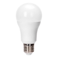 LED-pirn A60 E27/24W/230V 6500K - Aigostar