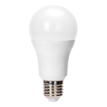 LED-pirn A60 E27/24W/230V 6500K - Aigostar
