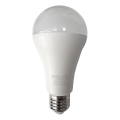 LED Pirn A65 E27/18W/230V 4200K