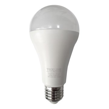 LED Pirn A65 E27/18W/230V 4200K