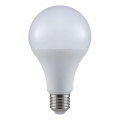 LED Pirn A80 E27/20W/230V 3000K
