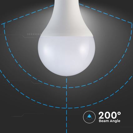 LED Pirn A80 E27/20W/230V 4000K