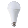 LED Pirn avarirežiimiga A90 E27/15W/230V 4000K