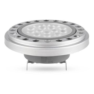 LED Pirn ECOLINE AR111 G53/12W/12V 3000K 30° hõbedane - Brilagi