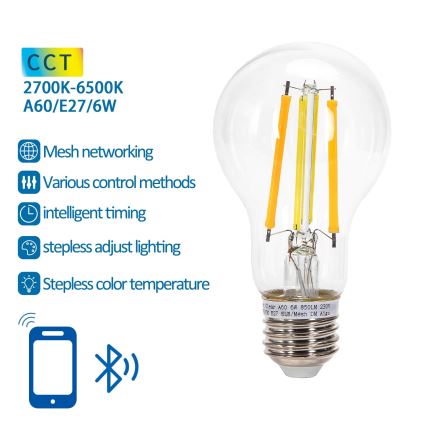 LED Hämardatav pirn FILAMENT MESH Nutikas A60 E27/6W/230V 2700-6500K - Aigostar