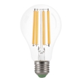 LED Pirn FILAMENT A60 E27/8W/230V 2700K - Aigostar