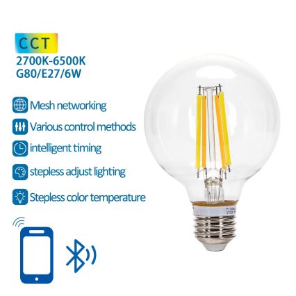 LED Hämardatav pirn FILAMENT MESH Nutikas G80 E27/6W/230V 2700-6500K - Aigostar