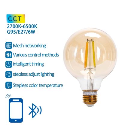 LED Hämardatav pirn FILAMENT MESH Nutikas G95 E27/6W/230V 2700-6500K - Aigostar