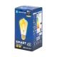 LED Pirn FILAMENT ST64 E27/6W/230V 2700-6500K - Aigostar