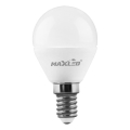 LED Pirn G45 E14/7W/230V 4000K