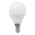 LED pirn P45 E14/3W/230V 3000K - Eglo 10819